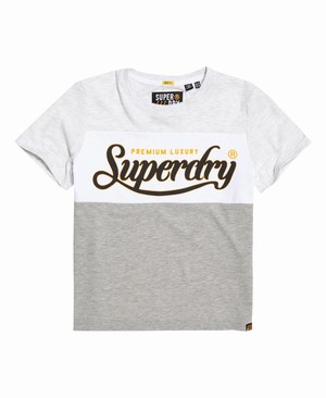 Superdry Premium Luxe Colour Block Boxy Női Pólók Szürke | WVRHE9187